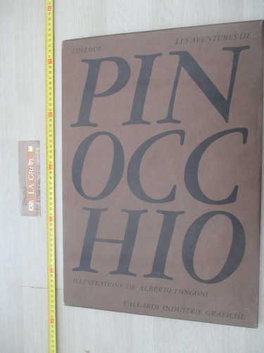 Collodi pinocchio histoire - collodi,