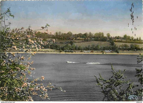 Carte postale creuse - carte,