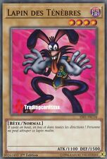 ♦Yu-Gi-Oh!♦ [SD] Lapin des Ténèbres (Dark Rabbit) : SS01-FRC04 -VF/Commune-