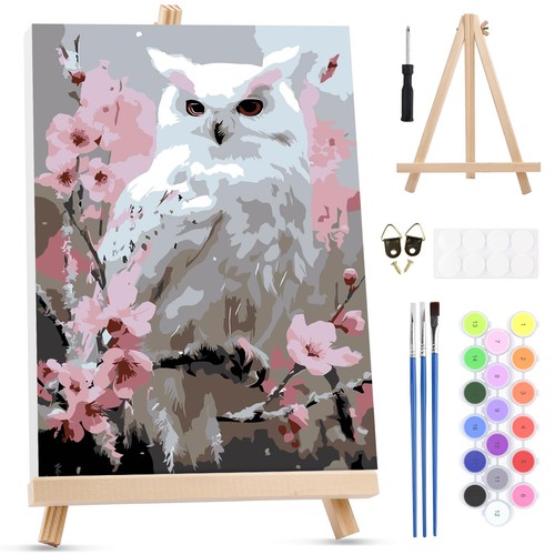 Hibou blanc peinture numero - peinture,