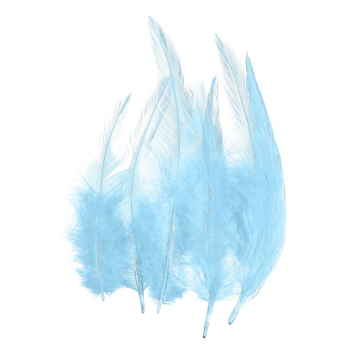 Plumes coq selle et de - plumes,