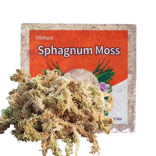 155g sphaigne pour - 155g,