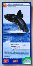 CARTE MERVEILLES DU MONDE -