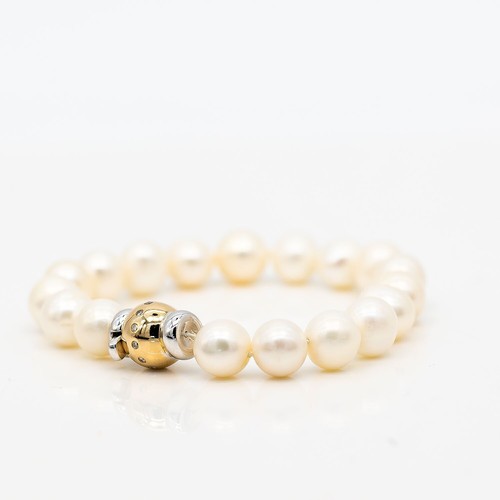 Mers sud perles bracelet - mers, du