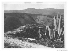 Bfp1 0077 militaria - bn-bfp1-0077-militaria,