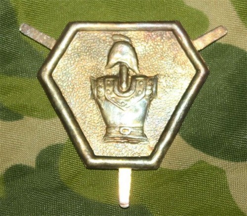 Insigne corps - du,