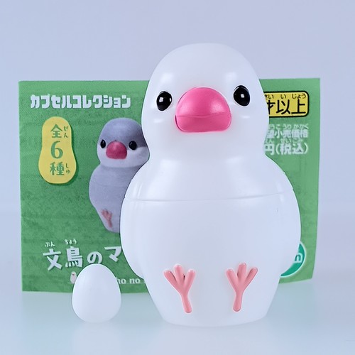 Moineau java blanc - blanc, (grand)