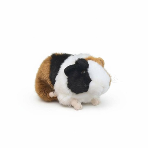 Cochon D'Inde En Peluche