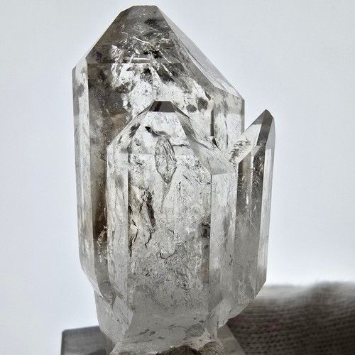 Sceptre poche - de,
