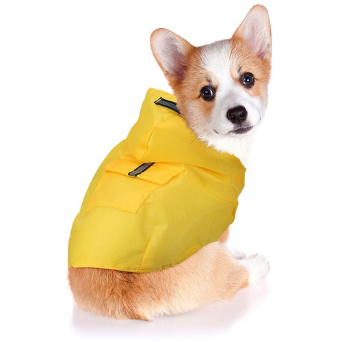 Veste anti pluie - imper, chien