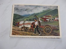 CP-ILLUSTRATEUR-HOMUALK - BIDARREY DEPART AUX CHAMPS non ecrite