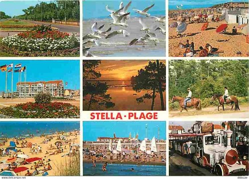 Carte postale stella - postale,