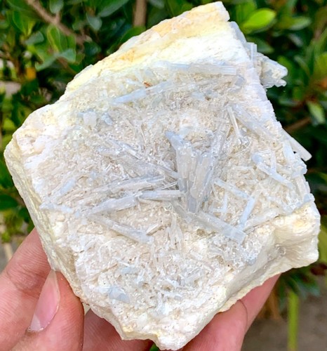 Spécimen cristal de - spécimen,