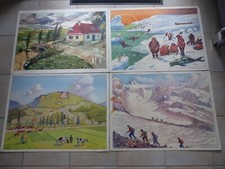 Lot de 19 affiches scolaires