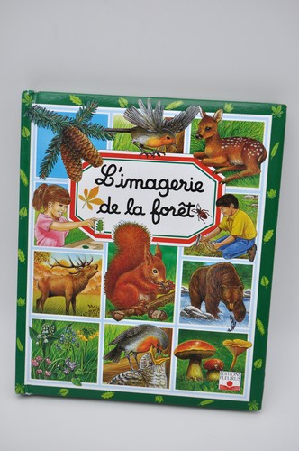 Imagerie forêt - la,