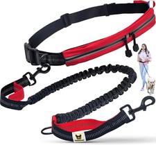 Hundefreund Laisse de Jogging avec Ceinture | Laisse pour Canicross de 120 à 