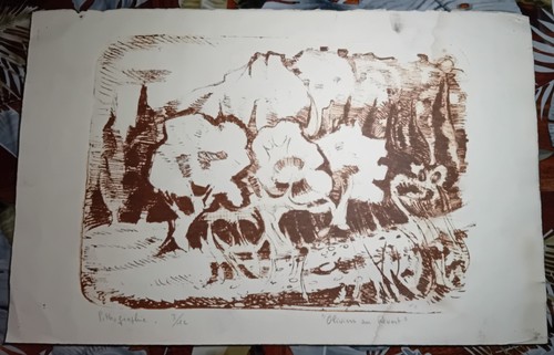 Rare lithographie petit - ,