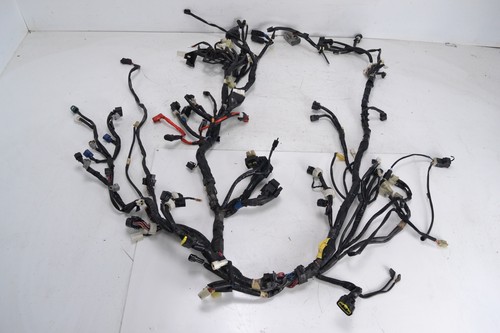 Faisceau électrique principal