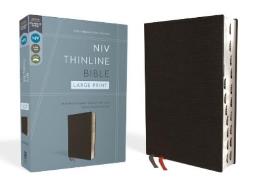 Niv thinline bible large - thinline,