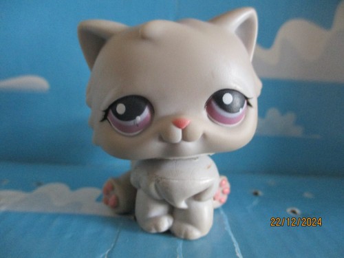 Petshop chat persan 263 - petshop,