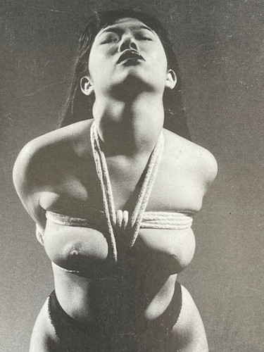 Photo japon bondage shibari - cp,