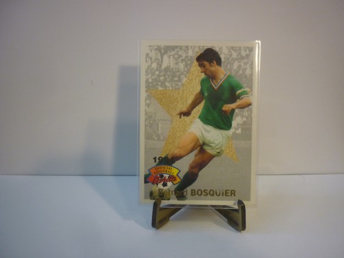 Carte foot panini official - panini,