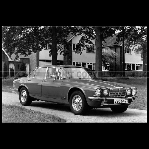 Photo 010143 jaguar - photo, a.010143