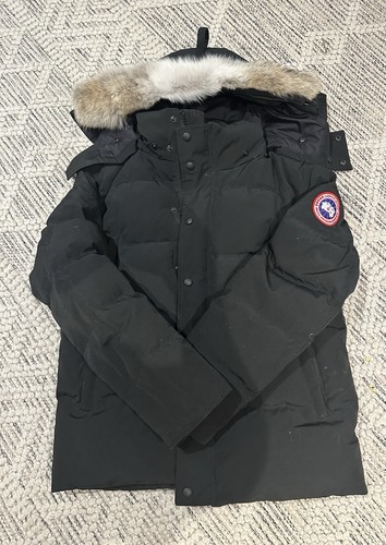Canada goose - canada,