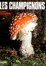 la nature et ses merveilles les champignons éditions atlas ©1977