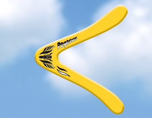 Pégase boomerang gunther - pégase,