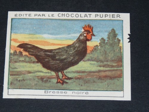 Chromo chocolat pupier 1930 - chocolat,