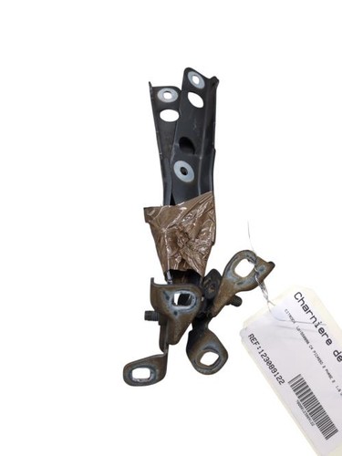 Charniere capot citroen c4 - charniere,