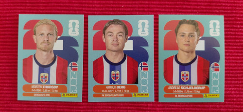 Panini foot stickers berg - foot,