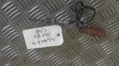Sonde température gaz