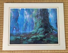 Décoration photo originale exclusive Ghibli art mural princesse mononoke scèn...