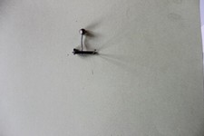 1 Ancienne pièces détaché pour artisan bijoutier horloger 