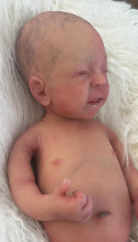 Reborn dolls pre - dolls, owned