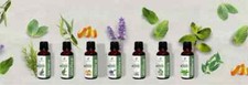 10ML Essential Oil 100% Pure &