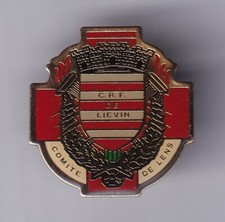 RARE PINS PIN'S .. ONG