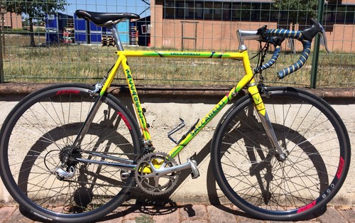 Saccarelli campagnolo - 58,