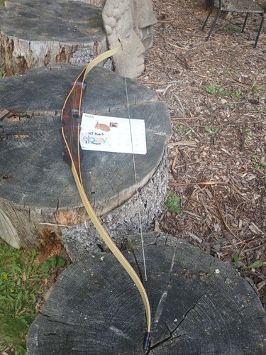 Vintage hoyt archery pro - archery,