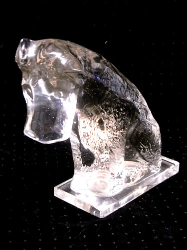 Grand chien fox - grand,