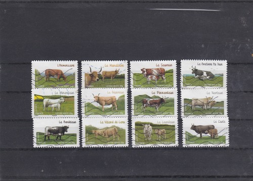France 2014 vaches serie - vaches,