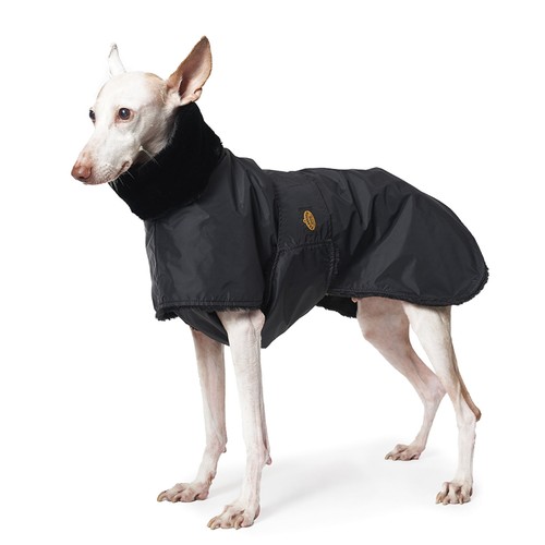 Fashion dog manteau - dog, de