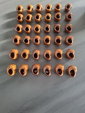 Lot de 36   coquilles à