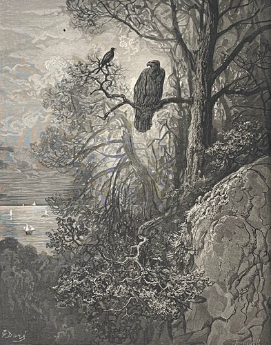 Aigle la pie gustave - et,