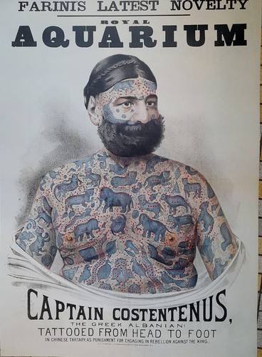 Cirque tatouage captain - -,