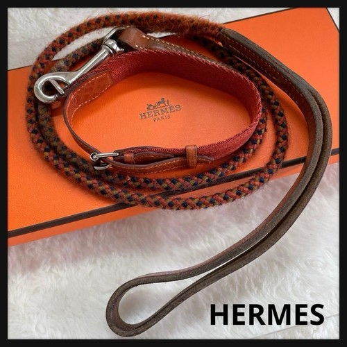Ensemble collier pour - , chien