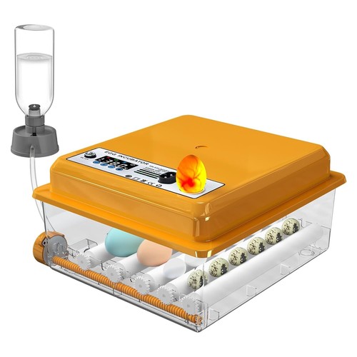 Incubateur automatique - automatique, 16