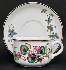 Très belle GRANDE TASSE DEJEUNER XXL 600ml + SOUCOUPE VILLEROY & BOCH BOTANICA